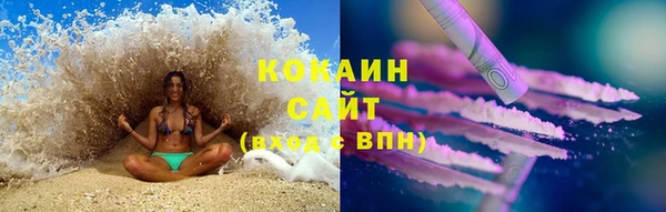 прущие грибы Белоозёрский