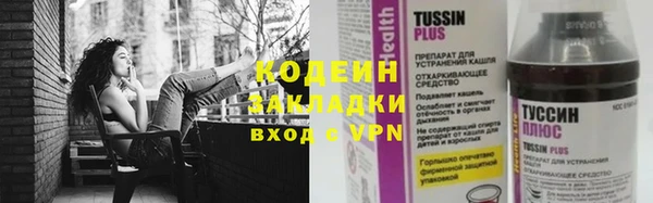 прущие грибы Белоозёрский