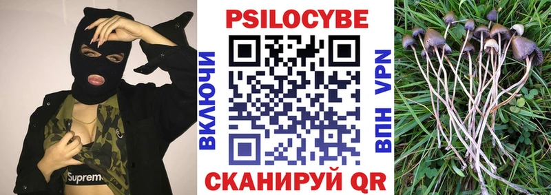 Галлюциногенные грибы GOLDEN TEACHER Армавир